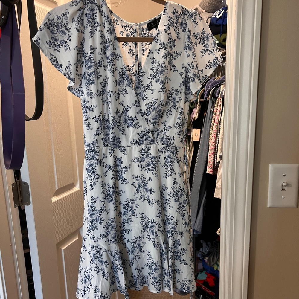Francesca’s Blue and White Floral dress